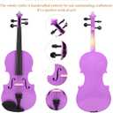 JinQu Purple Violin suitable for beginners, bands, professional,performers and students,Complete set of accessories(1/4)
