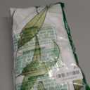 Shower Curtain, Sage Green Shower Curtains for Bathroom Watercolor Plant Shower Curtain Leaves Floral Bathroom Eucalyptus Shower Curtains Waterproof 72x72 Inch with Hooks (Leaf)