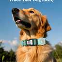 WhoseID Reflective Dog Collar with AirTag Holder,Adjustable Dog Collar with Neoprene Padded & Anti-Lost QR Code Buckle (Green, Small)