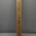 Heavy Duty Light Stand 118"/10ft/300 cm: LEORFI Photography Light Stands Tripod - Aluminum Spring Loaded Lighting Stand - with 1/4" Screw for Studio - Live Streaming Ring Light Softbox Reflectors