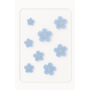 Blue Flowers on Aceylic Sheet Blue Flowers on Aceylic Sheet