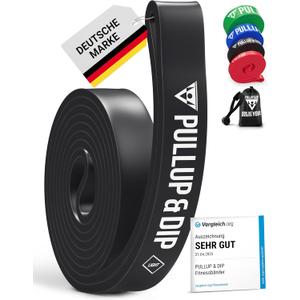 Pullup & DIP Fitness Bands, Resistance Bands with Bag, Door Anchor (with Sets) and Exercise Guide - Single & in Value Set, Pull-Up Band Fitness Band for Calisthenics