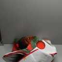 Christmas Round Rug for Living Room 5x5 Feet Washable Christmas Holiday Decor Carpet Low Pile Machine-Washable Rug for Bedroom/Red White (Jfs044)