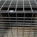 HAVAHART 1079SR Large 1-Door Humane Catch and Release Live Animal Trap Cage - Live Raccoon Trap, for Bobcats, Beavers, Dogs, & More