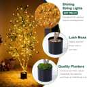 Olive Trees Artificial Indoor, 5FT Tall Faux Olive Tree with Moss and Planter, Artificial Plants Indoor with Natural Wood Trunk and Lifelike Fruits, Fake Tree for Home Office Living Room Decor