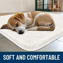 Smiry Dog Door Mat for Muddy Paws 30x20, Absorbent Dirt Trapper, Non-Slip Washable Chenille Entryway Rug for Inside Floor, Ivory, Classic Solid