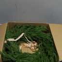 24 Inch Real Touch 2 Pcs Norfolk Pine Wreath Christmas Decorations for Front Door, Artificial Plants Green Christmas Wreath with Lights Home Decor, Xmas Decor for Mantel Wall Holiday Winter Decor