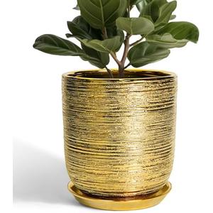 Amazon.com : SUNPOTFOR Ceramic Flower Pot for Indoor Plants - 10 Inch Plant Pot with Drainage Hole and Saucer, Decorative Round Outdoor Indoor Planter, Housewarming Gifts, Home Garden Decor, Gold : Patio, Lawn & Garden