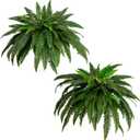 Nearly Natural 48-in Artificial Boston Fern, Set of 2, Large Hanging Fake Plant Wall Decor with 67 Fronds, Faux Fern Vines that Look Real for Home and Office Decor