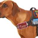 12 Pcs Funny Cute Dog Patches for Harness Removable Vest Collar Hook Patch Set Dogs Proud Puppy Dad Mom Training Security Military Tactical Novelty Accessories Gifts