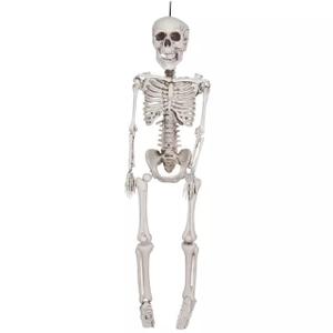 Halloween Skeleton Decorations, 20" Full Body Plastic Mini Little Skeleton Posable Joints Poseable Skeleton for Skeleton Halloween Party Hanging Decoration Yard Lawn Garden Patio Decor
