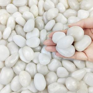FANTIAN 5lbs White Pebbles for Indoor Plants, 0.8-1.2 Inch Smooth White River Rocks for Potted Plants, Decorative Polished Stones for Landscaping Vase Fish Tank and Outdoor Garden Pavers, 5 Pounds