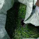 Artificial Grass Table Runner Rug 1 ft x 4 ft, Synthetic Fake Grass Turf Mat for Party Wedding Garden Home Decor, 0.8" Pile Height