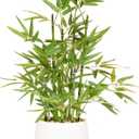 365 Blooming Decor 18 Inch Tall White Potted Faux Bamboo Plant - Luxury Artificial Bamboo in White Pot for Home, Office, Kitchen, Counter Top, Indoor Decor, Money Tree, Lucky Tree
