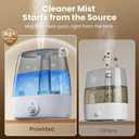 Provirtec 6.5L Stay Clean Tank Humidifier for Large Room, Low Maintenance, Top Fill Design, Ultra Quiet 65H Runtime, Cool Mist Ultrasonic for Bedroom, Home, Plants HC12