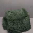 FinRec Green Rugs for Living Room Bedroom, 3x5 Feet Fluffy Fuzzy Shag Rug, Non-Slip Furry Shaggy Area Rug for Nursery Kids Room Dorm Room Home Decor, Indoor Floor Carpet