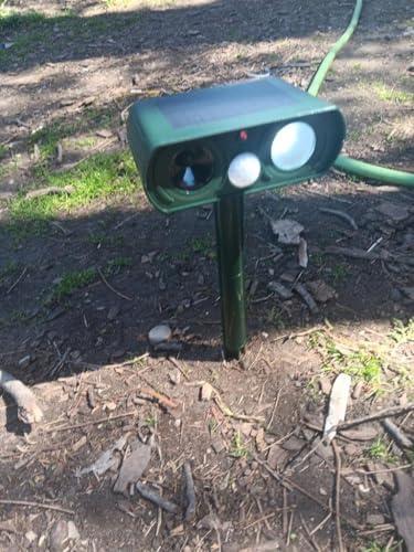 Amazon.com : 2PACK Solar Ultrasonic Animal Repellent Outdoor, Deer Repellent Devices Squirrel Cat Raccoon Rabbit Dog Deterrent, Keep Rodent Chipmunk Away Motion Detection with Flash Light for Yard Garden Lawn : Patio, Lawn & Garden