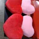 Queekay 4 Pcs Valentine Heart Pillow Cute Plush Cushion Toy Valentine Throw Heart Shaped Pillow Decorative Stuffed Plush Toy for Friends Bed Chair Sofa Cars(Red, Pink)