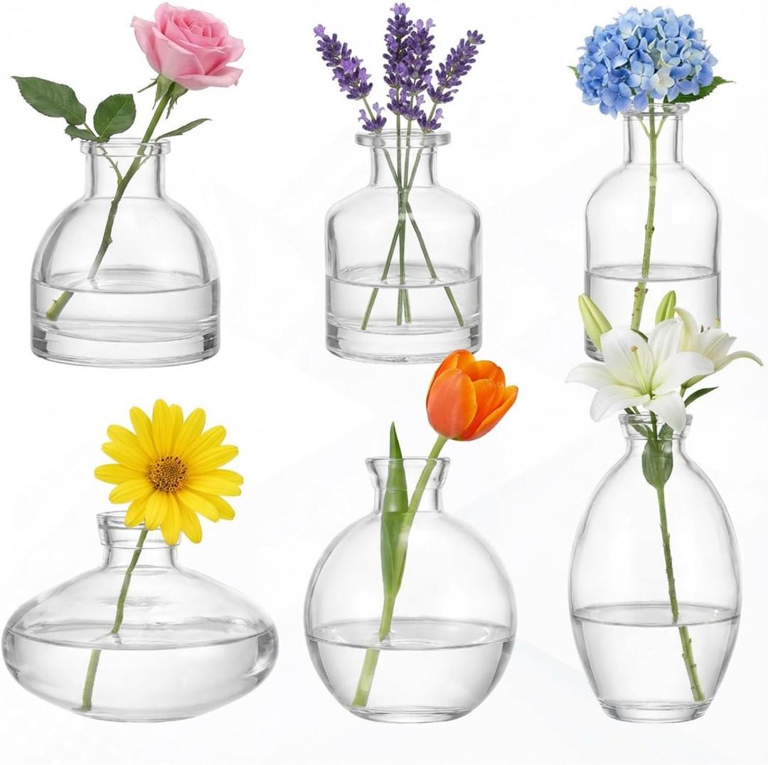 Glass Bud Vases Set of 6, Small Clear Flower Vases for Wedding Centerpiece Vintage Mini Glass Flower Bottles for Floral Arrangement Party Home Office Dining Table Decor