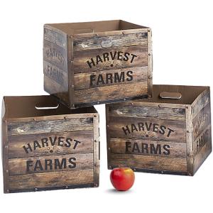 Fun Express 3D Apple Orchard Boxes Decoration, 3 Pieces