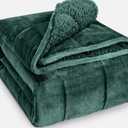 Wemore Sherpa Fleece Weighted Blanket for Adult, 20 lbs Dual Sided Cozy Fluffy Heavy Blanket, Ultra Fuzzy Throw Blanket with Soft Plush Flannel Top, 60 x 80 inches, Green on Both Sides