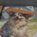 Madison Park Dog Wall Art Cute Animal Decor for Kid's Bedroom, Home Office Conversational Piece, Bathroom Decor, Gifts for Dog & Beach Lover, Baby Shower, Birthday, Hang Ready, Chihuahua Canvas, 16"L x 16"W
