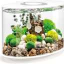 biOrb Loop 15 Acrylic 4-Gallon Aquarium with White LED Lights Modern Compact Tank for Tabletop or Desktop Display, White-Trimmed Tank