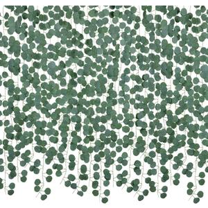 DearHouse 86 Feet 12 Strands Artificial Eucalyptus Leaf Plants Vine Hanging Eucalyptus Garland for Home Kitchen Office Wedding Wall Decor