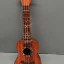 Raimy Kids Guitar Ukulele - 21in Ukulele Guitar Toys for Kids Ages 3 4 5 6 7+ Year Old Boys Girls Simulated Sound Quality Music Instruments Learning Education (Brown)