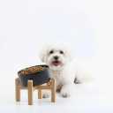 Petygooing Black Raised/Elevated 15Slanted Ceramic Dog Bowl for Small Breeds,Tilted Anti Slip Pet Feeding Bowl,Food Water Dish with Stand for Cats and Small Dogs Puppy 13.5 OZ (5.1In /1.7 Cups)