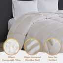True North by Sleep Philosophy Down Comforter, Twin/Twin XL, Cream