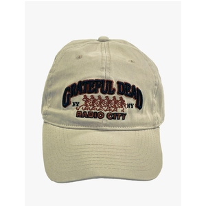 Grateful Dead Men's Standard Liquid Blue Radio City 80 Baseball Hat, Stone, One Size