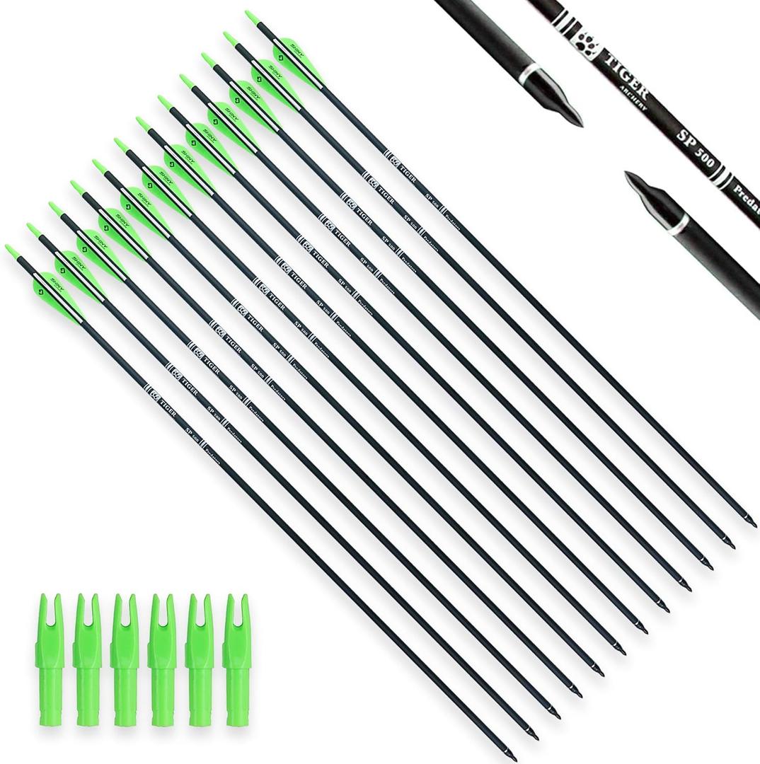 30Inch Carbon Arrow Practice Hunting Arrows with Removable Tips for Compound & Recurve Bow(Pack of 12) (Light Green White)