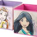 Disney Princess Collapsible Storage Cubes, Set of 2, 10"x10"