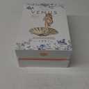 Venus Seashell Coupe Cocktail Glasses | Set of 4 | 8 oz Crystal Ribbed Champagne Saucers for Drinking P-Star and Espresso Martini, Margarita, Daiquiri, Cosmopolitan, Gimlet | Elegant Gift Glassware