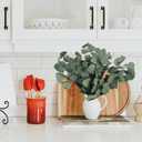 Real Eucalyptus Stems 20PCS Dried Preserved Fresh Eucalyptus Silver Dollar Leaves for Shower - Greenery Branches for Wedding Home Party Vase Filler Spring Decor