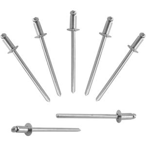 ALLCLEAN 300 Pcs 1/8"x1/4" Stainless Steel Blind Pro Rivets,3.2 x 6mm Pop Rivets,Stainless Steel Grip and Stainless Steel Mandrel