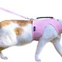 Cat Harness and Leash for Walking Escape Proof Breathable Mesh Fabric, Solid Pink, Large, Adjustable Cat Walking Jackets with Handle, Padded Stylish Cat Vest (L 8-12LBS)