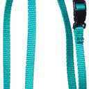 Kwik Klip Adjustable Nylon Pet Harness, Mint, X-Small