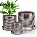 EFISPSS Ceramic Plant Pots, 6+8+10 Inch Ceramic Pot for Plants, Flower Pots with Drainage Hole and Saucer, Planters Pot for Indoor Outdoor Plants, Set of 3 - Brow (Gray)