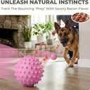 4 x Apasiri Interactive Dog Toys for Large & Medium Dogs: 3.5" Bacon Flavored Squeaky Balls for Dogs, Tough Durable Spiky Rubber Bouncy Dog Toys Balls, Floating Outdoor Fetch Dog Toy, Pink Dog Balls Gifts