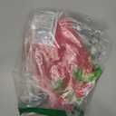 Sister of The Birthday Boy T Rex Dinosaur Family Party T-Shirt, Size S