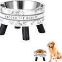 Elevated Cat Food Bowls with Stand, Stainless Steel Anti Vomiting Non-Slip Raised Cat Bowl, Pet Feeding Bowls for Cats Kittens Puppies and Small Dogs