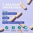 AMANDEAN Creatine HCl + Collagen + MSM Capsules, CON-CRET & OptiMSM, 90ct, Expiry: 04/2029