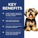 Hill's Science Diet Adult 1-6 Small & Mini Dry Dog Food, Chicken & Brown Rice, 15.5 lb. Bag