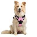 rabbitgoo Dog Harness No Pull with 2 Leash Clips, Adjustable Soft Padded, Reflective Oxford No Choke Pet Vest with Easy Control Handle for Medium Sized Dogs, Pink, M