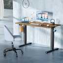DUMOS 48.6 Inch Electric Standing Desk, Memory Adjustable Home Office Desk