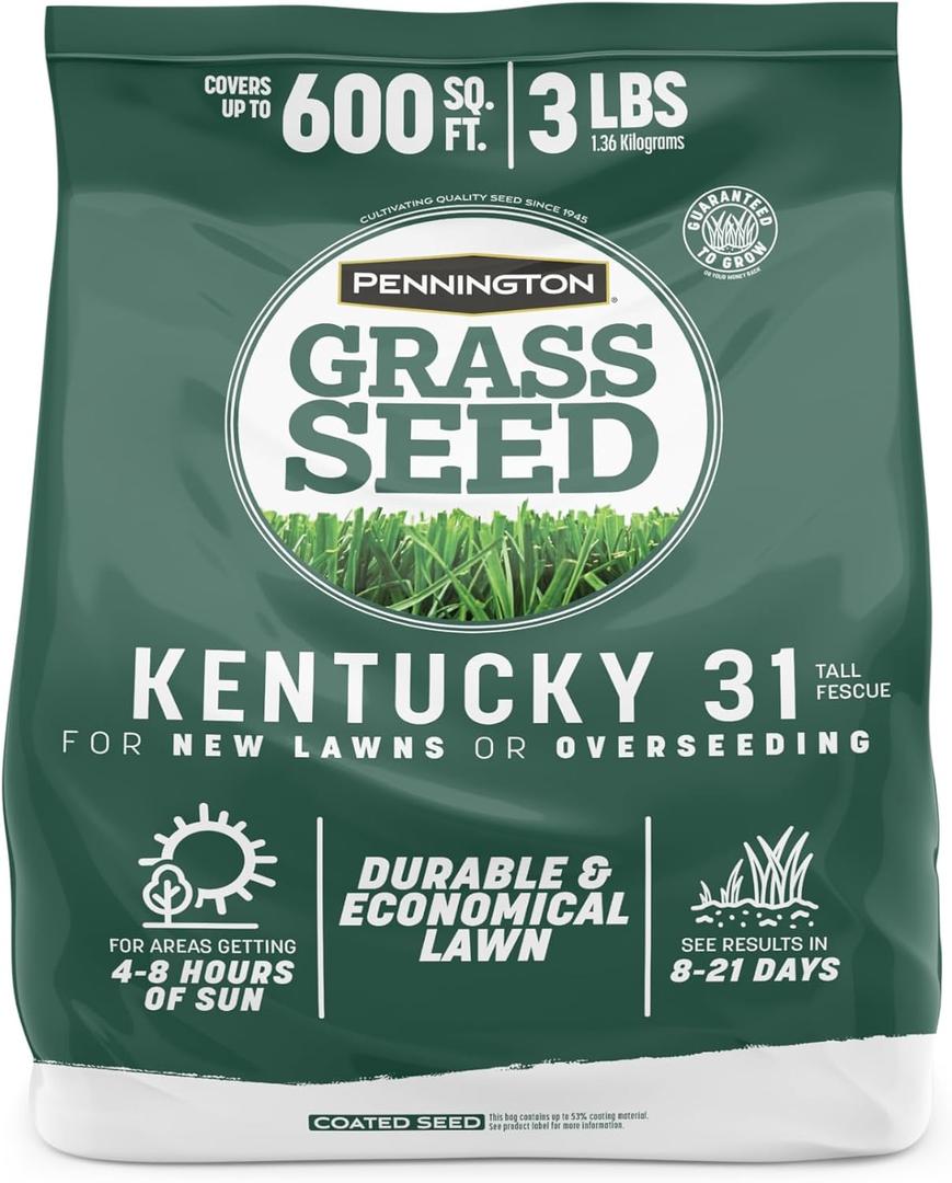 Pennington 100% Kentucky 31 Tall Fescue Penkoted Grass Seed 3 lb (EXP 05/31/27)