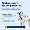 PetSafe 3 in 1 No-Pull Dog Harness for Small Dogs- Walk, Train or Travel - Helps Pets from Pulling on Walks - Seatbelt Loop Doubles as Quick Access Handle - Reflective- Extra Small, Teal