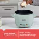BLACK+DECKER 16-Cup Cooked (8 Cups Uncooked) Rice Cooker, Steaming Basket, Removable Nonstick Bowl, One-Touch Operation, Surf Spray